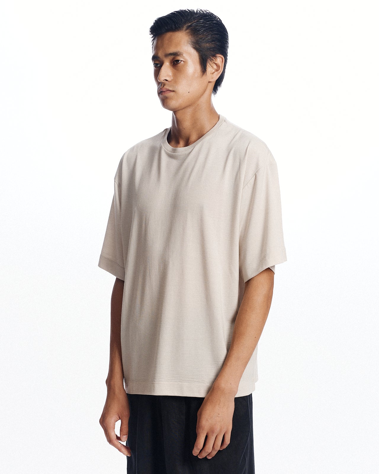 スーパー160sウール防縮天竺 / ショートスリーブTシャツ, Greige