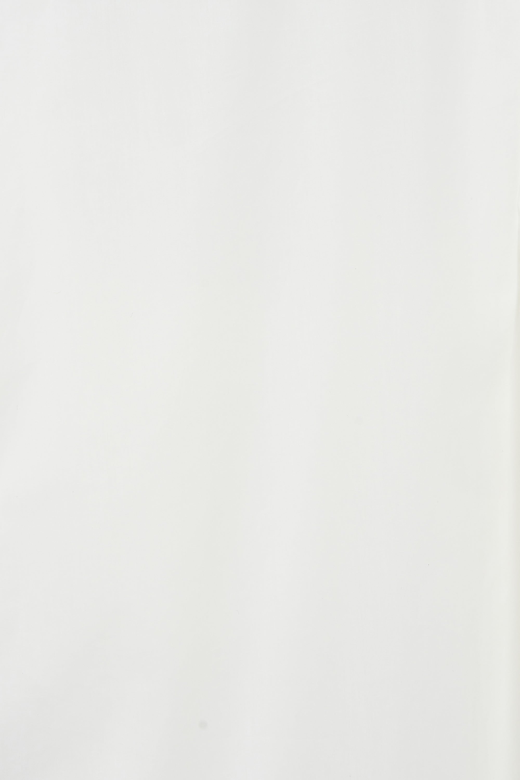 オーガニックGIZA80/1タイプライター /  コンフォートフィットシャツ, White